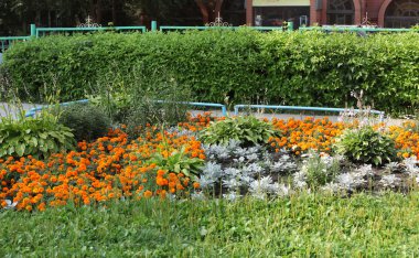 Tuğla evin yanında güzel bir bahçe.