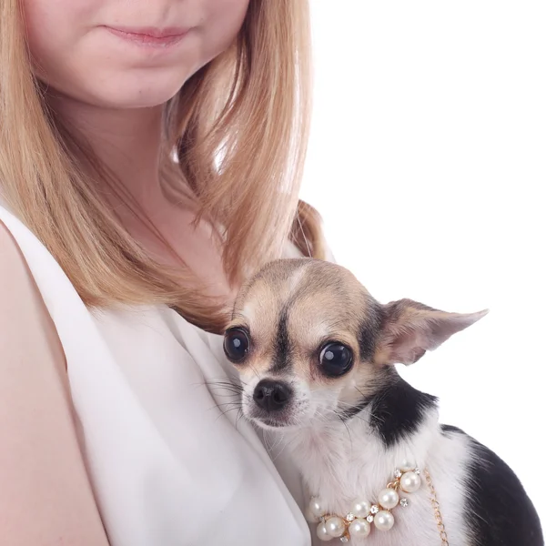 Menina Adolescente Com Terrier Brinquedo — Fotografia de Stock