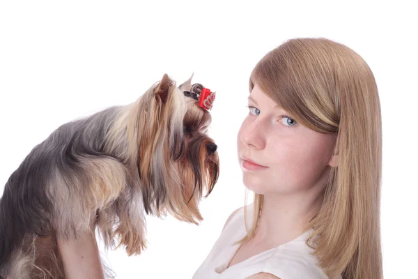Дівчинка і собака — стокове фото