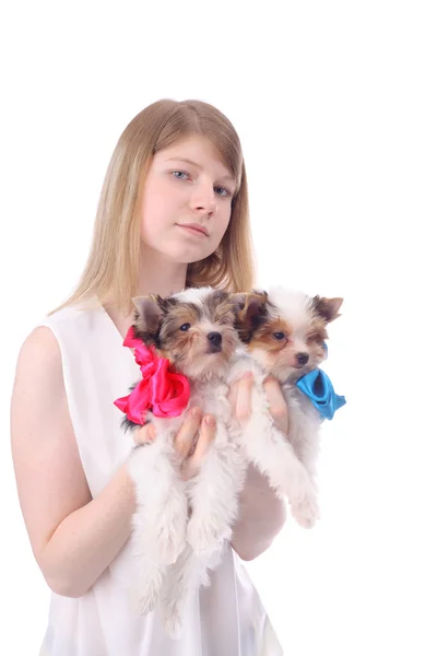 Menina e cachorros — Fotografia de Stock