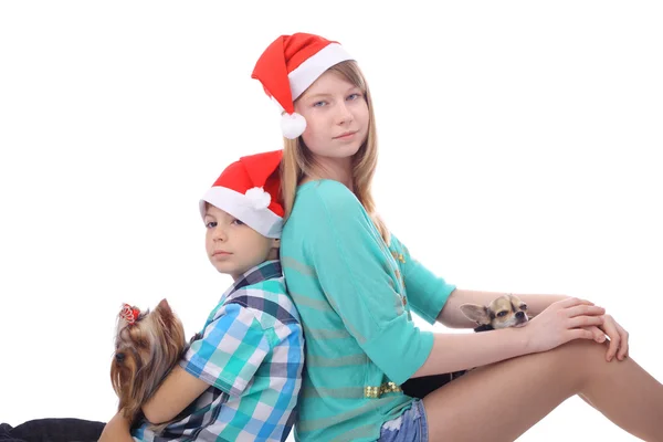 Christmas  kids and dogs — Stock Photo, Image