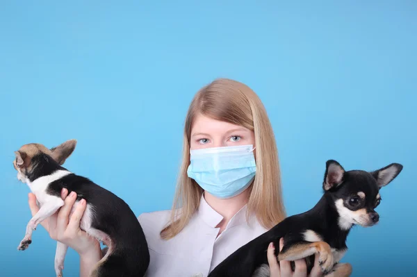Doktor ve köpekler — Stok fotoğraf