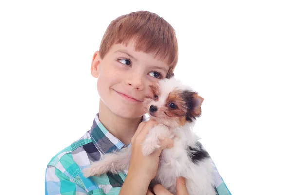 Boy and puppy — Stock Photo, Image