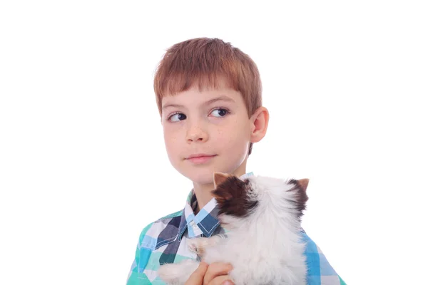 Boy and puppy — Stock Photo, Image