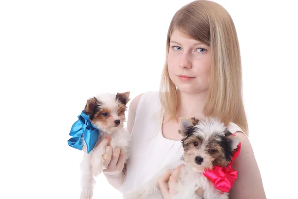 Menina e cachorros — Fotografia de Stock