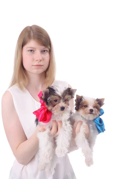 Girl and puppies — Stock Photo, Image