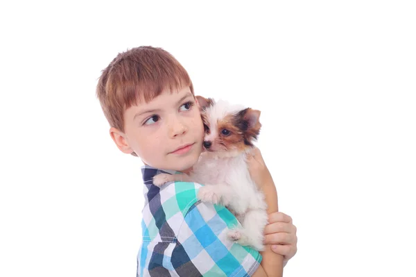 Oğlan ve köpek yavrusu — Stok fotoğraf