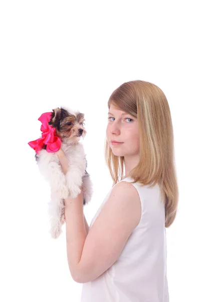 Girl and dog — Stock Photo, Image