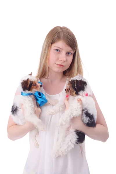Menina e cachorros — Fotografia de Stock