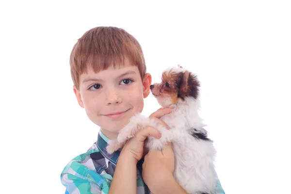 Boy and puppy — Stock Photo, Image