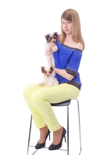 Girl and puppies Royalty Free Stock Images