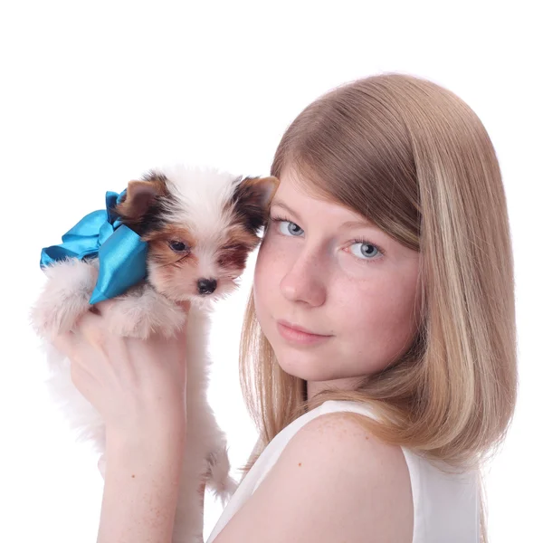 Girl and puppy — Stock Photo, Image