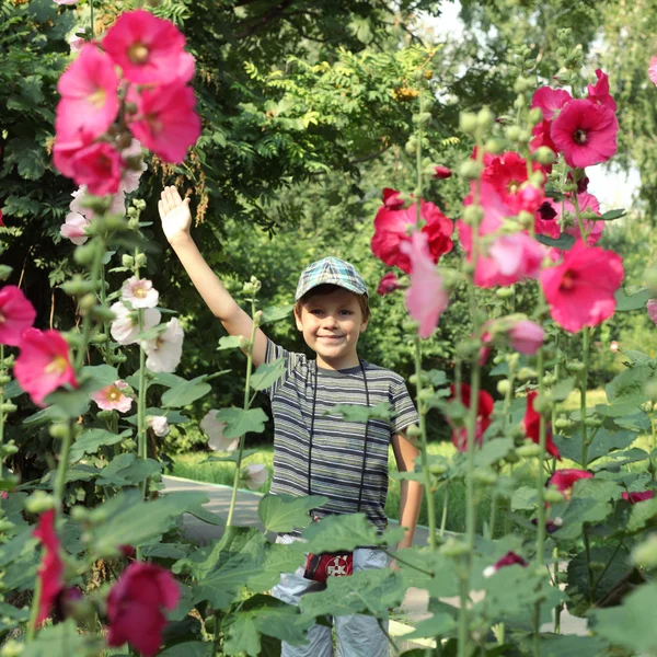 Niño y flores — Foto de Stock