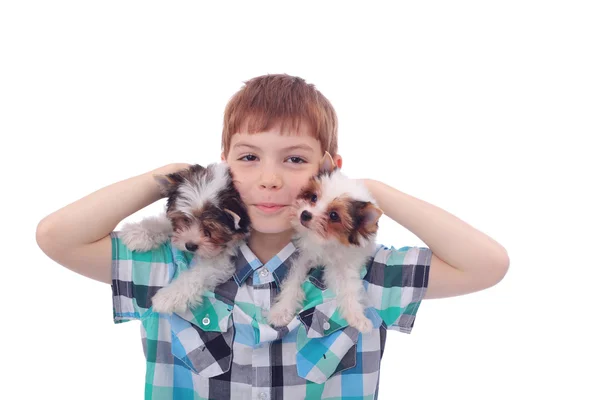 Boy and puppies — Stock Photo, Image