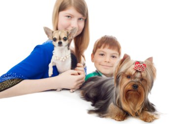 çocuklar ve köpekler