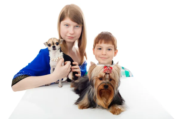 Niños y perros — Foto de Stock