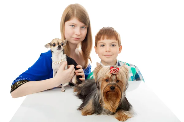 Çocuklar ve köpekler — Stok fotoğraf