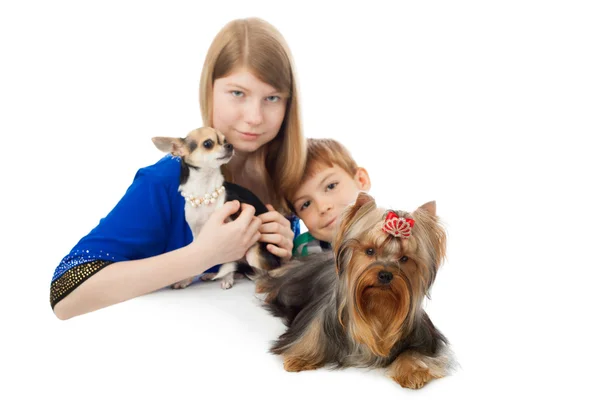 Çocuklar ve köpekler — Stok fotoğraf