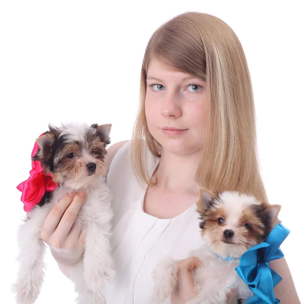 Menina e cachorros — Fotografia de Stock