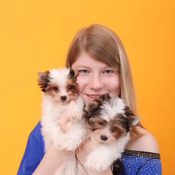 Girl and puppies — Stock Photo, Image