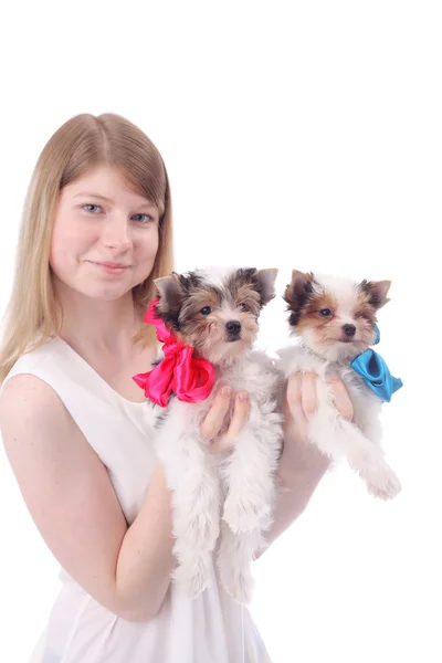 Girl and puppies — Stock Photo, Image