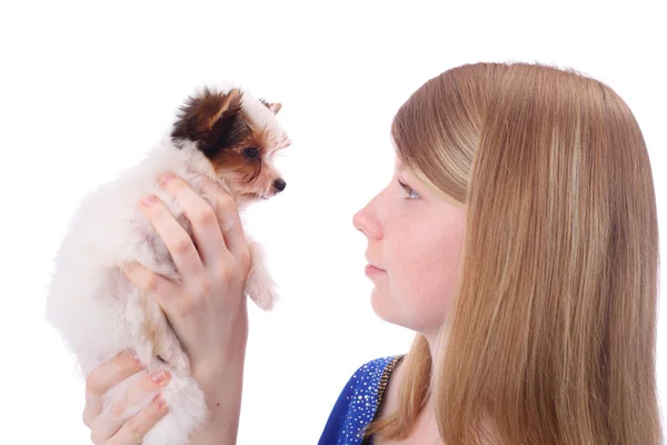 Girl and puppy — Stock Photo, Image