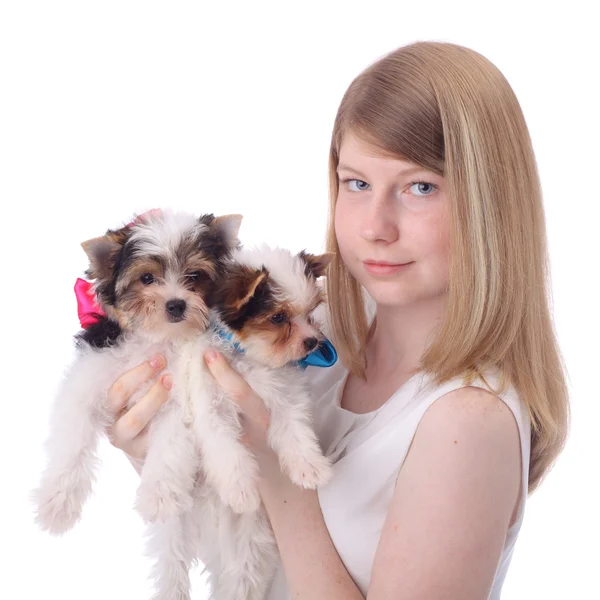 Girl and puppies — Stock Photo, Image