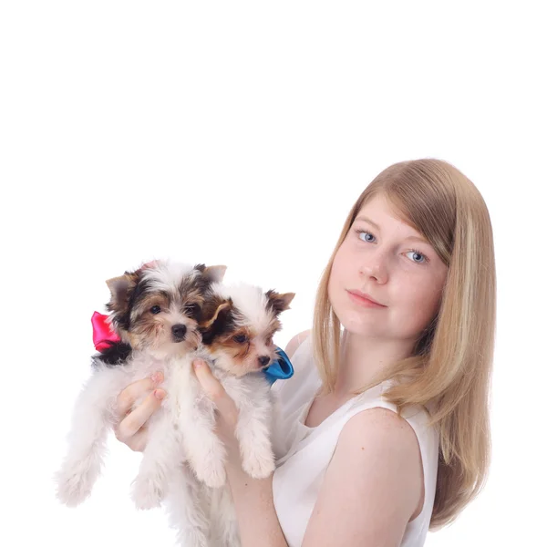 Meisje en puppies — Stockfoto