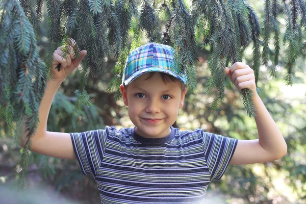 Chłopiec spaceru w parku drzew iglastych — Zdjęcie stockowe