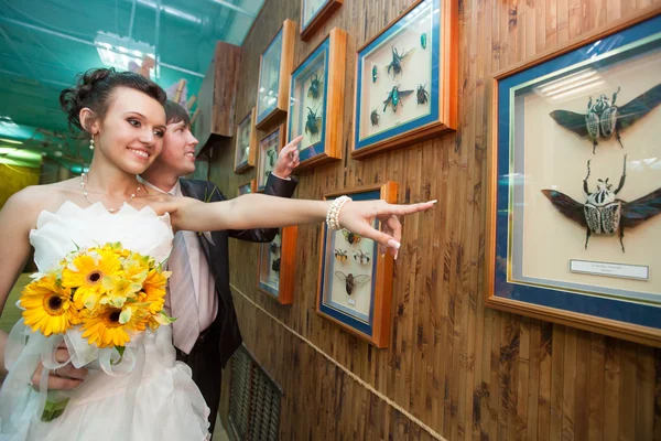 Esküvői pár Vértes — Stock Fotó