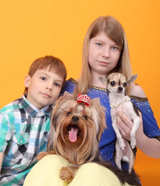 Kinderen en honden — Stockfoto