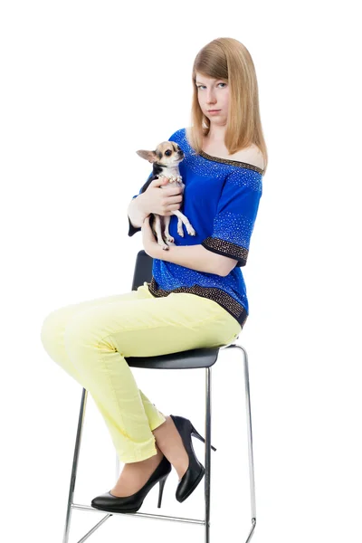 Girl and puppy — Stock Photo, Image