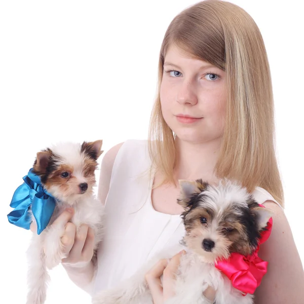 Girl and puppies — Stock Photo, Image