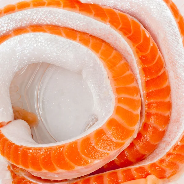 Bright Orange Yummy Trout Closeup — Stock Photo, Image