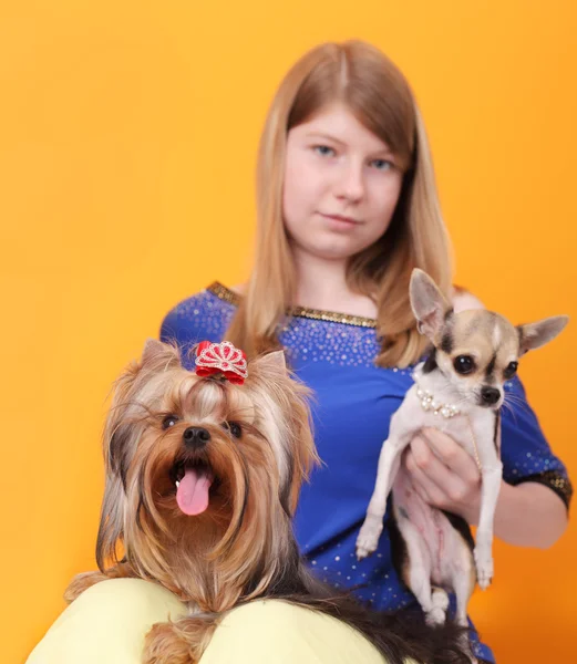 Menina e cães — Fotografia de Stock