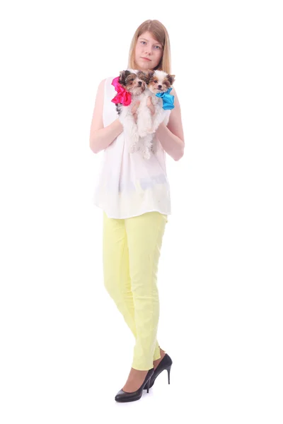 Girl with the puppies — Stock Photo, Image