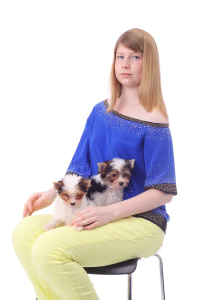 Girl and puppies — Stock Photo, Image