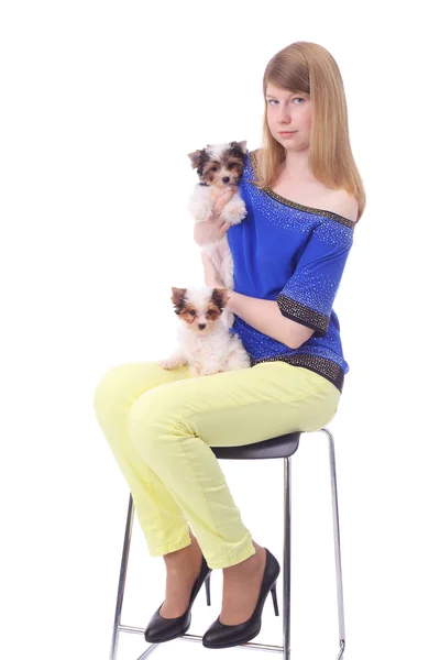 Girl and puppies — Stock Photo, Image