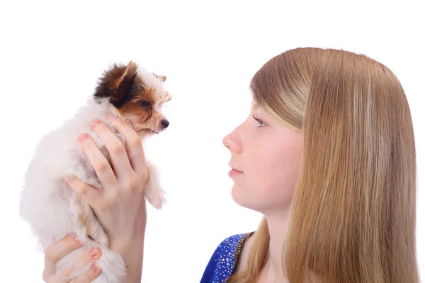 Girl and puppy — Stock Photo, Image