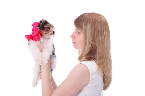 Menina e cão — Fotografia de Stock