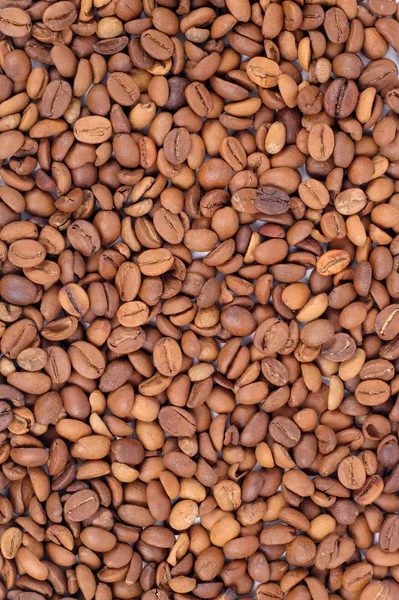 Coffee beans background — Stock Photo, Image