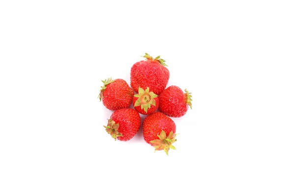 Erdbeeren isoliert auf weiß — Stockfoto