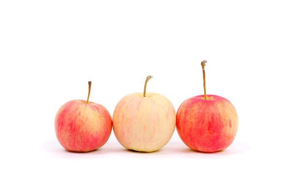 赤と黄色のリンゴ — ストック写真