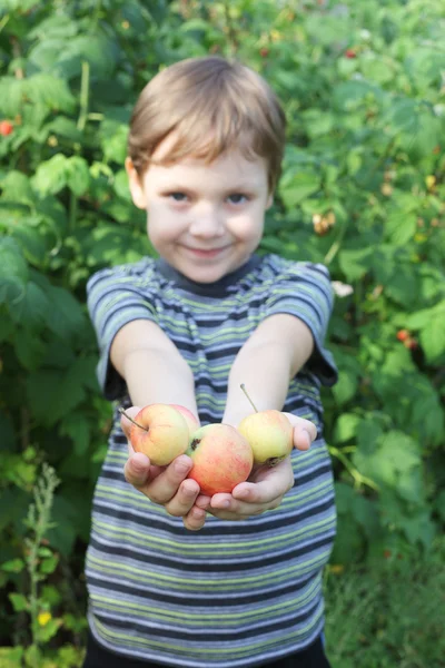 Мальчик предлагает яблоки — стоковое фото