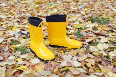 Yellow rubber boots clipart