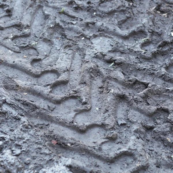 진흙 웅덩이로 — 스톡 사진