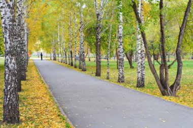 Sonbahar parkında yol