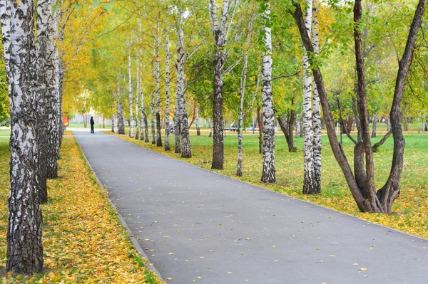 Percorso nel parco autunnale — Foto Stock