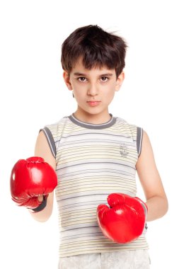 sevimli küçük boksör