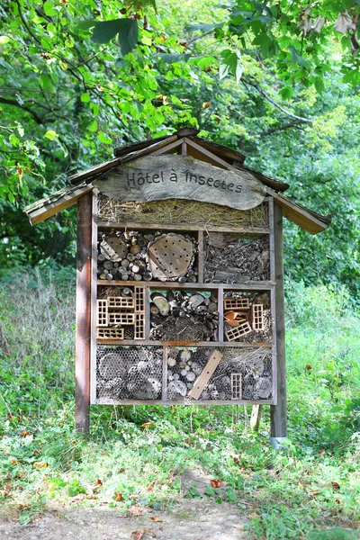 Hotel de insetos em uma floresta — Fotografia de Stock